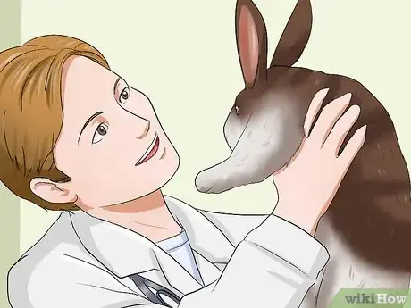 Image titled Make Sure Your Rabbit Has the Best Life You Can Give It Step 8