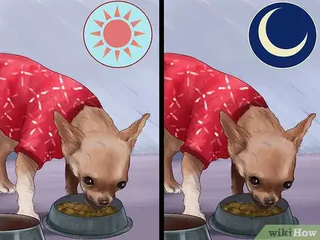 Image titled Feed Picky Chihuahuas Step 4