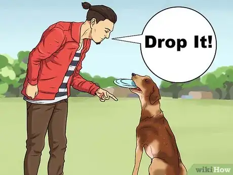 Image titled Teach a Dog to Fetch Step 2