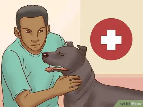 Image titled Keep Both Dogs Safe While Mating Them Step 2