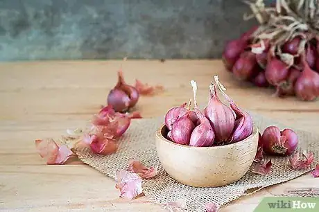 Image titled Tell the Difference Between Spring Onions, Shallots, and Green Onions Step 2