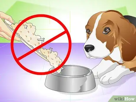 Image titled Cure a Dog's Stomach Ache Step 18