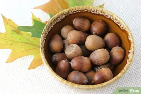 Image titled Dry Acorns for Crafts Step 7