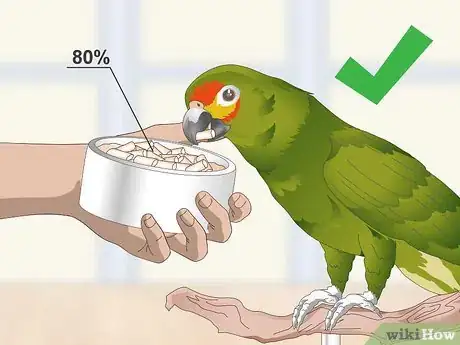 Image titled Feed an Amazon Parrot Step 1
