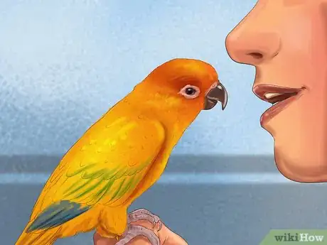 Image titled Care for a Conure Step 15