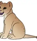 Draw a Lion Cub