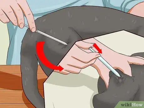 Image titled Give a Cat an Injection Step 15