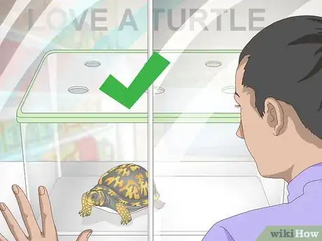 Image titled Care for an Eastern Box Turtle Step 1