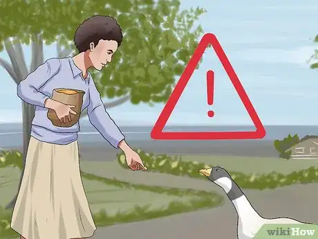 Image titled Feed Geese Safely Step 13