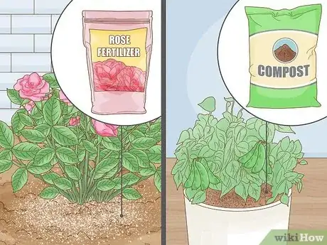 Image titled Grow Healthy Plants Step 5