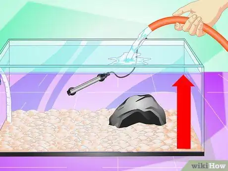 Image titled Set up a Cichlid Tank Step 9