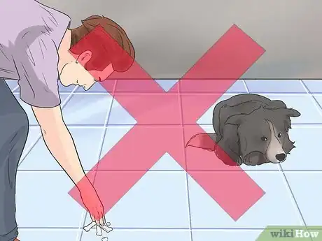 Image titled Teach a Dog to Crawl Step 3