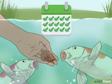 Image titled Hand Feed a Fish Step 12