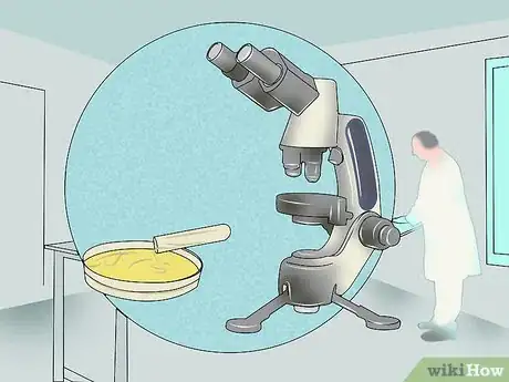 Image titled Measure Bacterial Growth Step 2