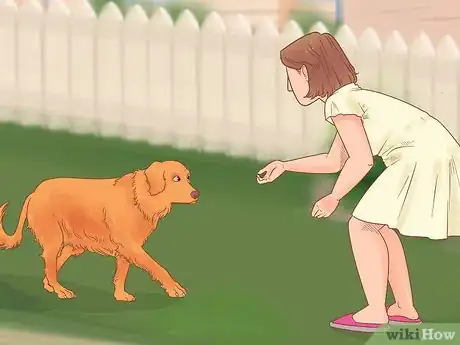 Image titled Know if Your Dog Likes You the Best Step 7