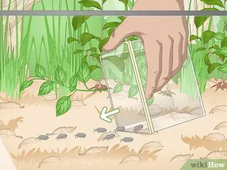 Image titled Build a Vivarium Step 14