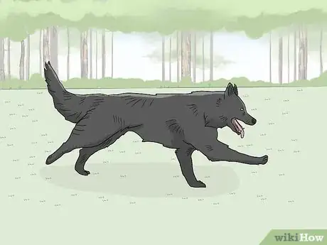 Image titled Report a Stolen Dog Step 14