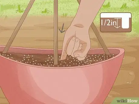 Image titled Grow Cucumbers in Pots Step 9