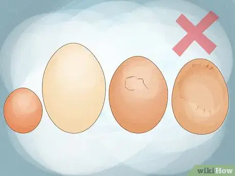 Image titled Hatch Chicken Eggs Step 3