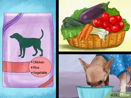 Image titled Feed Picky Chihuahuas Step 5