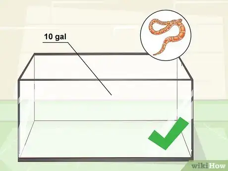 Image titled Care for Baby Cornsnakes Step 1