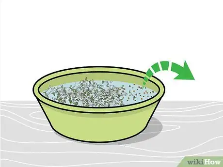 Image titled Grow Broccoli Sprouts Step 12