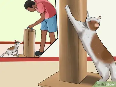 Image titled Stop a Cat from Chewing Step 16