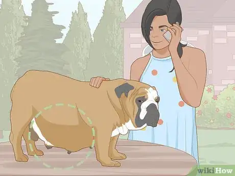 Image titled Prevent Worms in Dogs Step 11