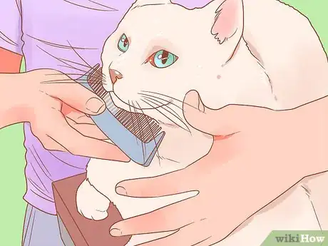 Image titled Reduce Stress in Cats Step 12