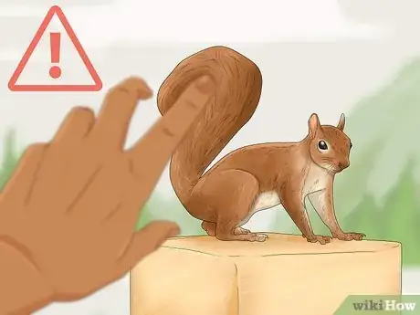 Image titled Keep a Pet Squirrel Step 4