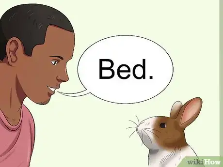 Image titled Teach Your Rabbit to Go Back to His Hutch Step 1