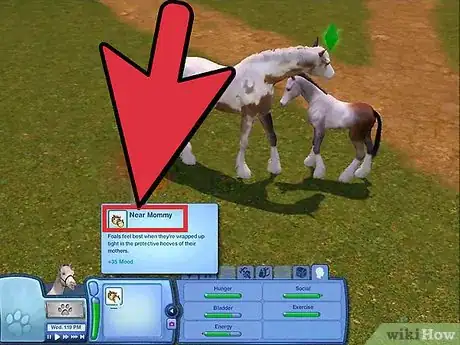 Image titled Breed Your Pets on the Sims 3 Pets (Pc) Step 15