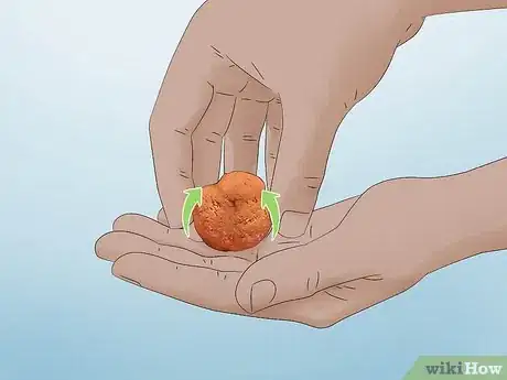 Image titled Make Graham Balls Step 6