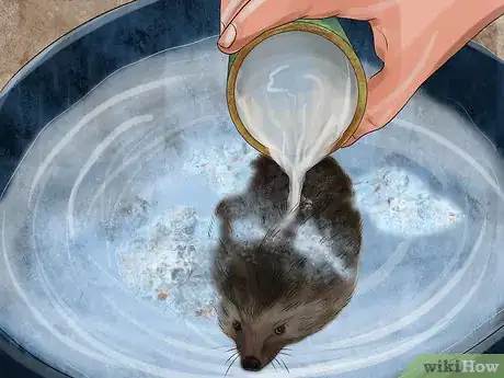 Image titled Bathe a Hedgehog Step 8