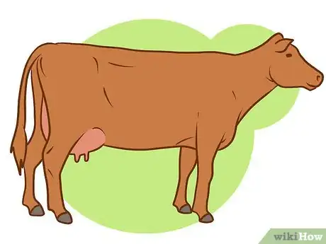 Image titled Judge Body Condition Scores in Cattle Step 5Bullet3