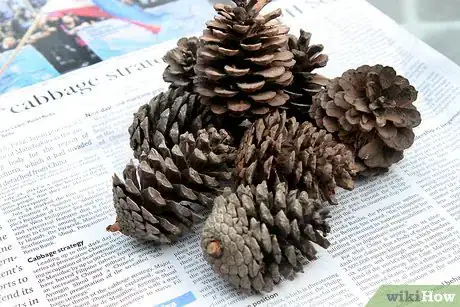 Image titled Make Scented Pine Cones Step 12