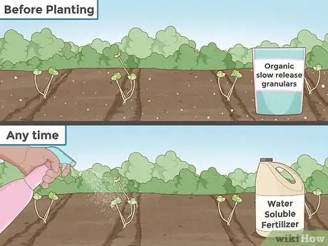 Image titled Grow Herbs Step 12