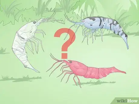 Image titled Make a Shrimp Aquarium Step 1