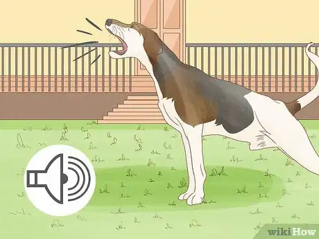 Image titled Identify a Treeing Walker Coonhound Step 13