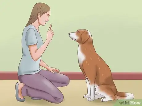 Image titled Stop Dogs from Biting Step 7