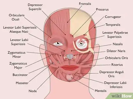 Image titled Train to Administer Botox Step 5