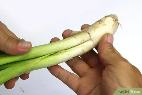 Image titled Select and Use Leeks Step 1