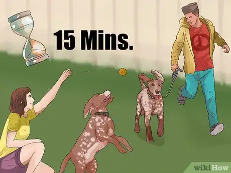 Image titled Train German Shorthaired Pointers Step 11