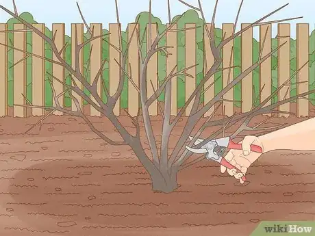 Image titled Remove Bushes Step 17