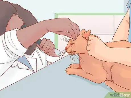 Image titled Know if Your Cat Is Afraid of Something Step 20