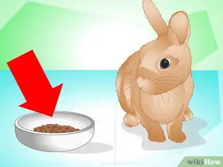 Image titled Determine if Your Rabbit Is Sick Step 1