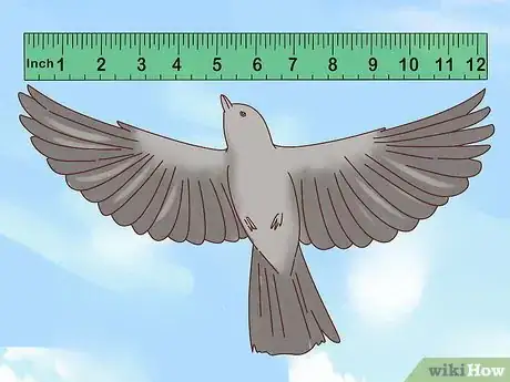 Image titled Identify a Mockingbird Step 1