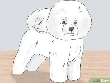 Image titled Groom a Bichon Frise Step 27