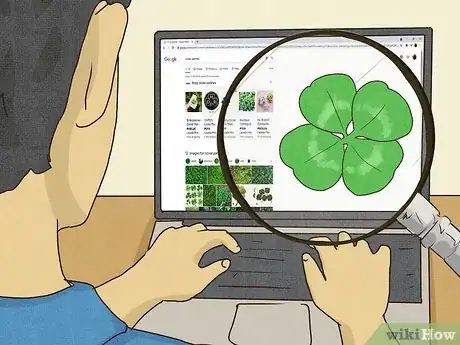 Image titled Find a Four Leaf Clover Step 1