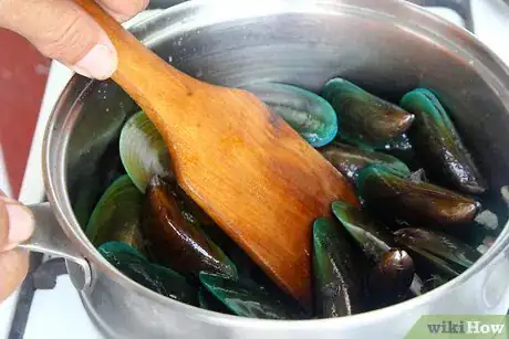 Image titled Store Mussels Step 10